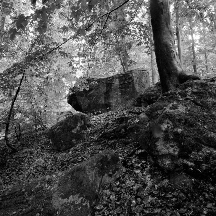 Silence_15_Fällander-Tobel 001.jpg