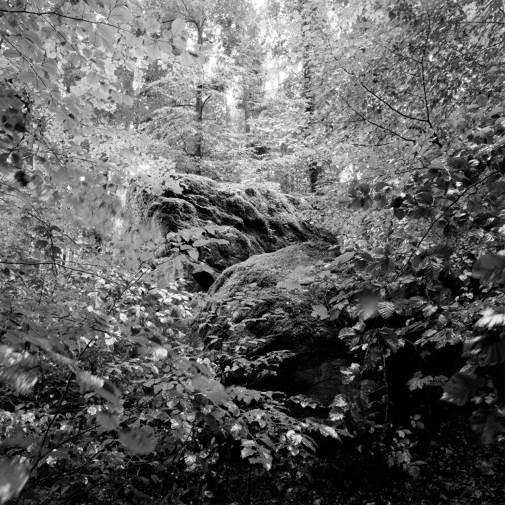 Silence_15_Fällander-Tobel 003