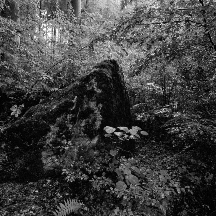 Silence_15_Fällander-Tobel 005