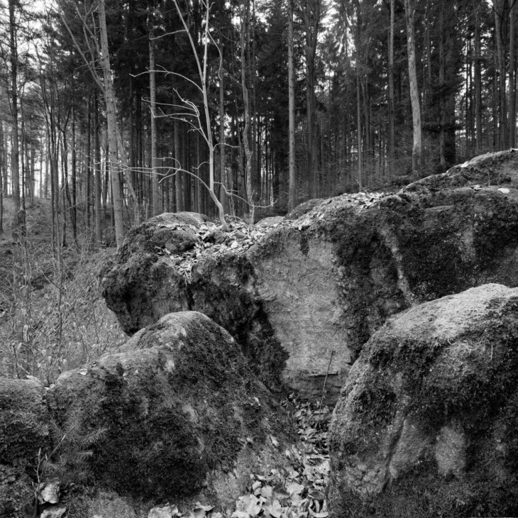 Silence_15_Fällander-Tobel 013