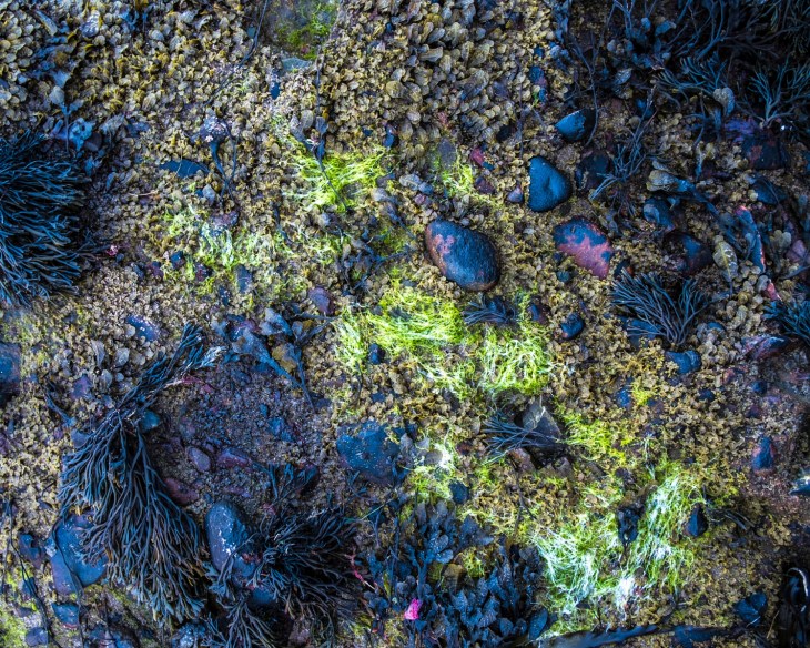 Ersionen_Tessin_Sand-7600