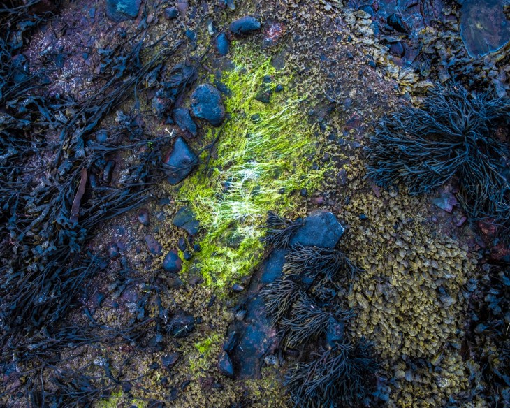 Ersionen_Tessin_Sand-7604